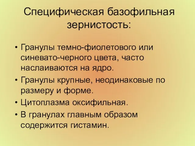 Специфическая базофильная зернистость: Гранулы темно-фиолетового или синевато-черного цвета, часто наслаиваются на ядро.