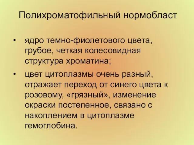 Полихроматофильный нормобласт ядро темно-фиолетового цвета, грубое, четкая колесовидная структура хроматина; цвет цитоплазмы