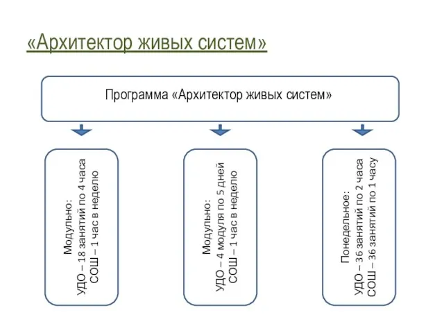 «Архитектор живых систем» Программа «Архитектор живых систем» Модульно: УДО – 18 занятий