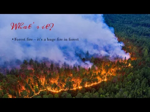 What’s it? Forest fire – it’s a huge fire in forest