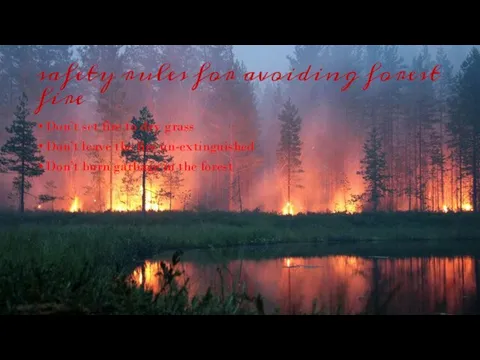 safety rules for avoiding forest fire Don’t set fire to dry grass