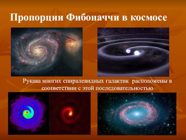 Рукава многих спиралевидных галактик расположены в соответствии с этой последовательностью Пропорции Фибоначчи в космосе