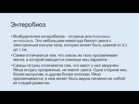 Энтеробиоз Возбудителем энтеробиоза – острица или Enterobius vermicularis. Это небольшая нематода белого