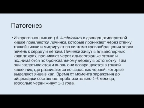 Патогенез Из проглоченных яиц A. lumbricoides в двенадцатиперстной кишке появляются личинки, которые