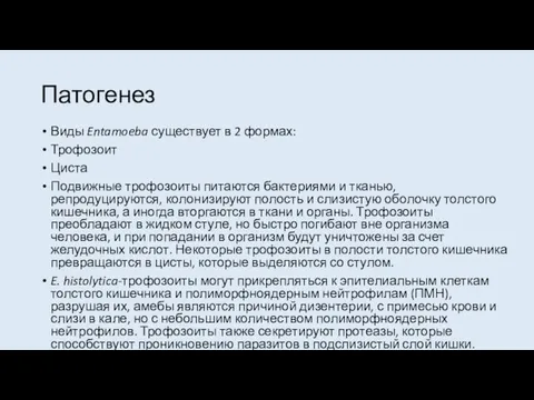 Патогенез Виды Entamoeba существует в 2 формах: Трофозоит Циста Подвижные трофозоиты питаются