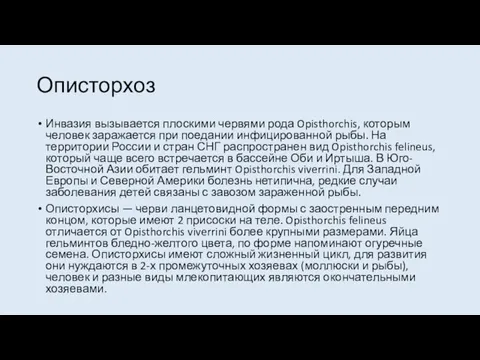 Описторхоз Инвазия вызывается плоскими червями рода Opisthorchis, которым человек заражается при поедании