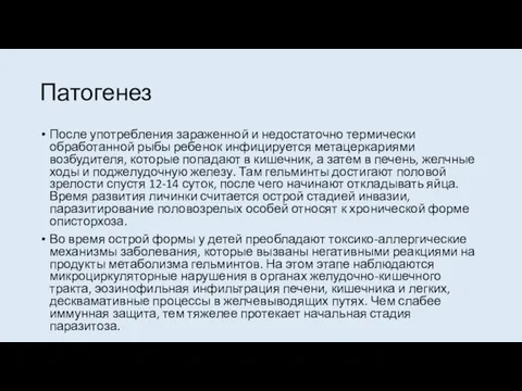 Патогенез После употребления зараженной и недостаточно термически обработанной рыбы ребенок инфицируется метацеркариями