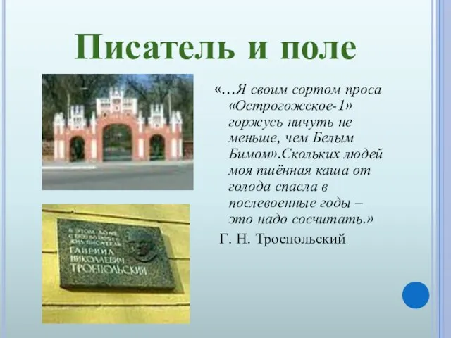 Писатель и поле «…Я своим сортом проса «Острогожское-1» горжусь ничуть не меньше,