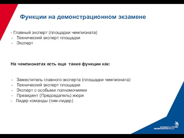 Функции на демонстрационном экзамене - Главный эксперт (площадки чемпионата) Технический эксперт площадки