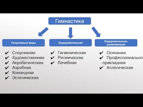 Гимнастика Спортивные виды Спортивная Художественная Акробатическая Аэробная Командная Эстетическая Оздоровительная Оздоровительно-развивающая Гигиеническая