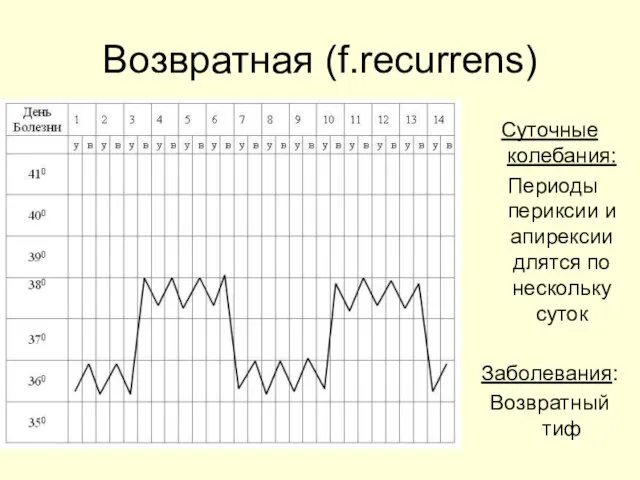 Возвратная (f.recurrens) Суточные колебания: Периоды периксии и апирексии длятся по нескольку суток Заболевания: Возвратный тиф