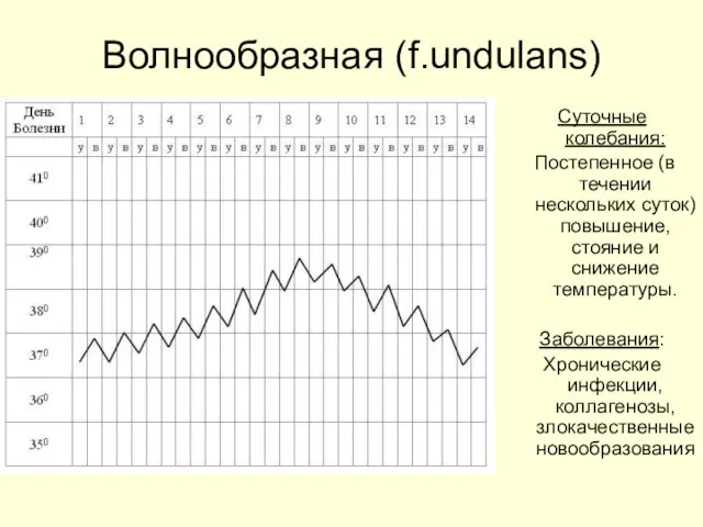 Волнообразная (f.undulans) Суточные колебания: Постепенное (в течении нескольких суток) повышение, стояние и