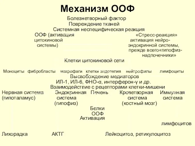 Механизм ООФ Болезнетворный фактор Повреждение тканей Системная неспецифическая реакция ООФ (активация «Стресс-реакция»