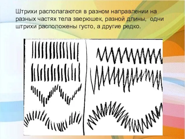 Штрихи располагаются в разном направлении на разных частях тела зверюшек, разной длины,