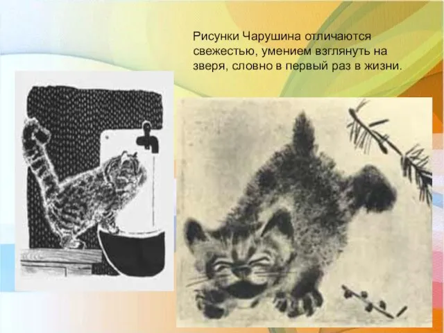 Рисунки Чарушина отличаются свежестью, умением взглянуть на зверя, словно в первый раз в жизни.
