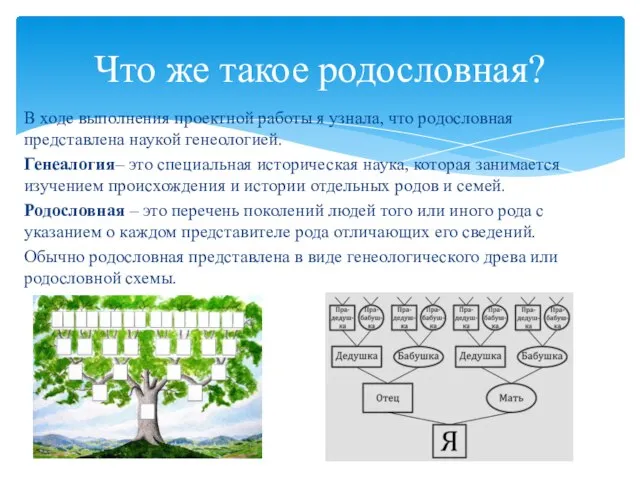 В ходе выполнения проектной работы я узнала, что родословная представлена наукой генеологией.