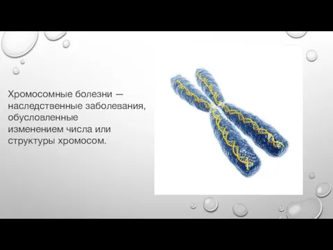 Хромосомные болезни — наследственные заболевания, обусловленные изменением числа или структуры хромосом.