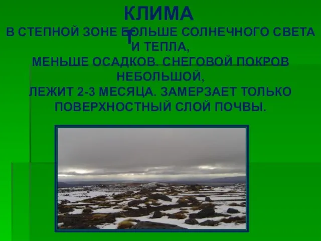 КЛИМАТ В СТЕПНОЙ ЗОНЕ БОЛЬШЕ СОЛНЕЧНОГО СВЕТА И ТЕПЛА, МЕНЬШЕ ОСАДКОВ. СНЕГОВОЙ