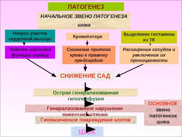 ПАТОГЕНЕЗ НАЧАЛЬНОЕ ЗВЕНО ПАТОГЕНЕЗА шока СНИЖЕНИЕ САД Острая генерализованная гипоперфузия Генерализованное нарушение