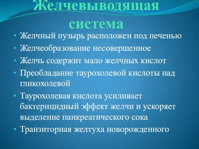 Желчевыводящая система Желчный пузырь расположен под печенью Желчеобразование несовершенное Желчь содержит мало