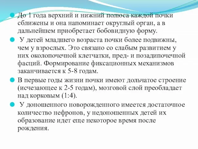 До 1 года верхний и нижний полюса каждой почки сближены и она