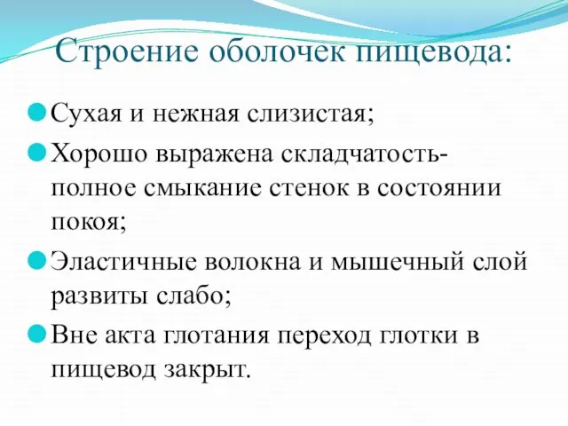 Строение оболочек пищевода: Сухая и нежная слизистая; Хорошо выражена складчатость- полное смыкание