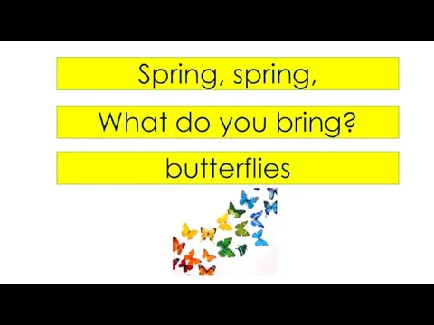 Spring, spring, What do you bring? butterflies