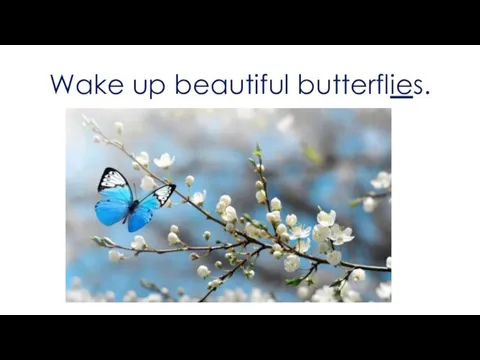 Wake up beautiful butterflies.