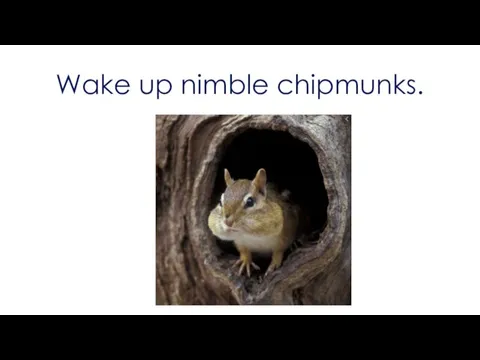Wake up nimble chipmunks.