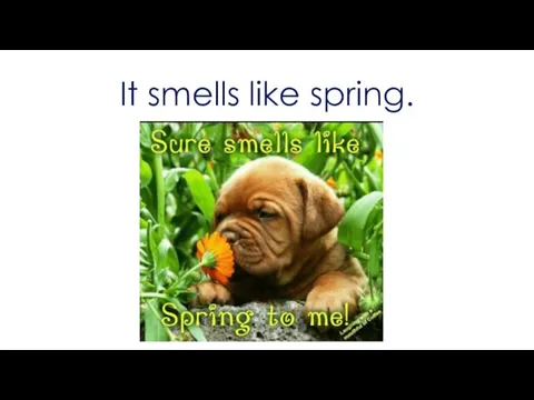 It smells like spring.
