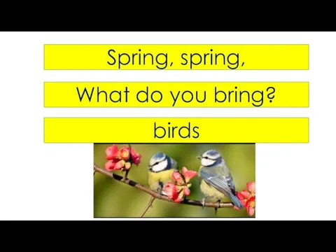 Spring, spring, What do you bring? birds