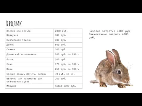 Кролик Разовые затраты: 4700 руб. Ежемесячные затраты:4083 руб.