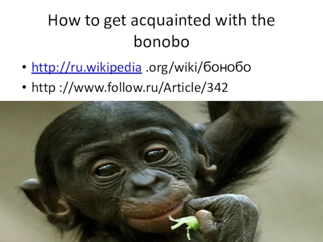 How to get acquainted with the bonobo http://ru.wikipedia .org/wiki/бонобо http ://www.follow.ru/Article/342