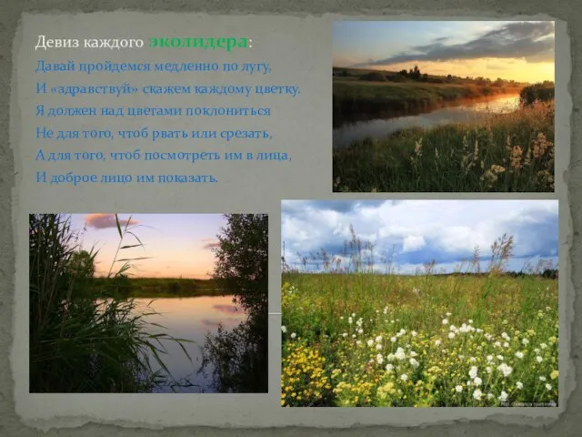 Девиз каждого эколидера: Давай пройдемся медленно по лугу, И «здравствуй» скажем каждому