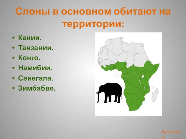 Слоны в основном обитают на территории: Кении. Танзании. Конго. Намибии. Сенегала. Зимбабве. Кристиан