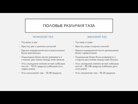 МУЖСКОЙ ТАЗ Таз выше и уже Крестец уже и длиннее, вогнутый Крылья