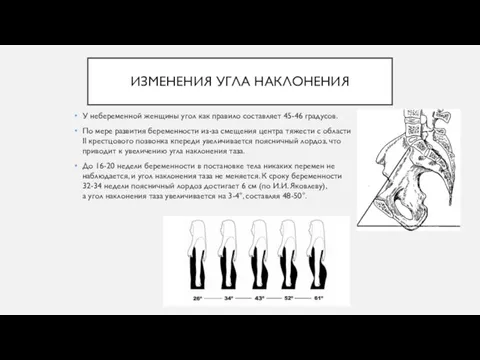 ИЗМЕНЕНИЯ УГЛА НАКЛОНЕНИЯ У небеременной женщины угол как правило составляет 45-46 градусов.