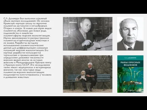 С.Л. Делямуре был выполнен огромный объем научных исследований. Он основал Крымскую научную