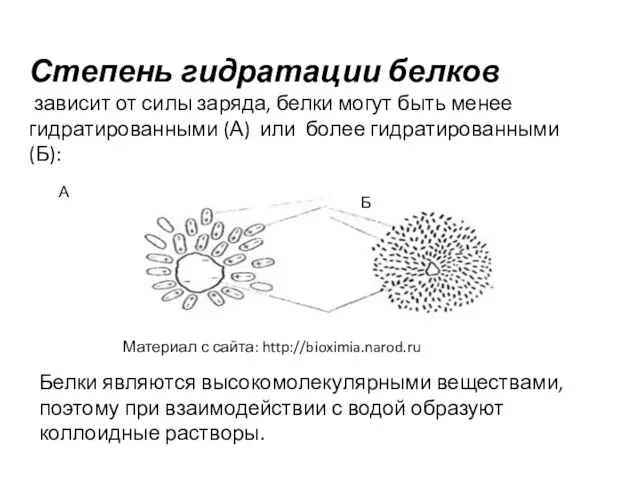 Степень гидратации белков зависит от силы заряда, белки могут быть менее гидратированными