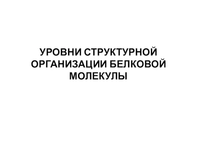 УРОВНИ СТРУКТУРНОЙ ОРГАНИЗАЦИИ БЕЛКОВОЙ МОЛЕКУЛЫ