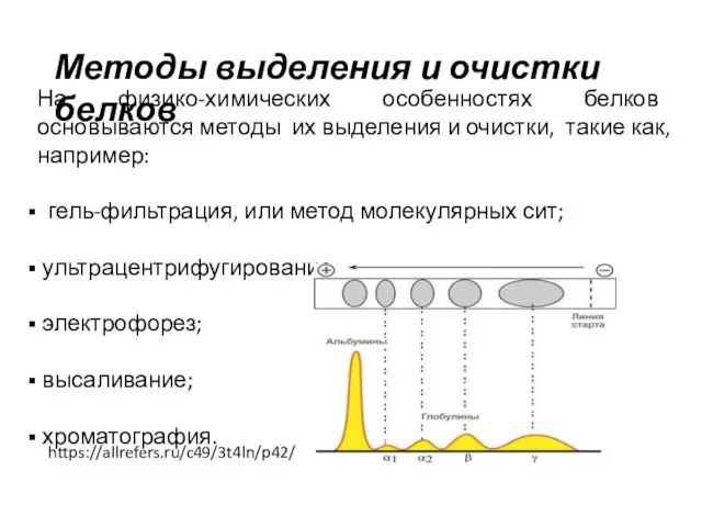 На физико-химических особенностях белков основываются методы их выделения и очистки, такие как,