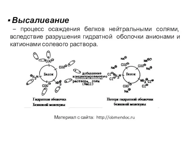 Высаливание – процесс осаждения белков нейтральными солями, вследствие разрушения гидратной оболочки анионами