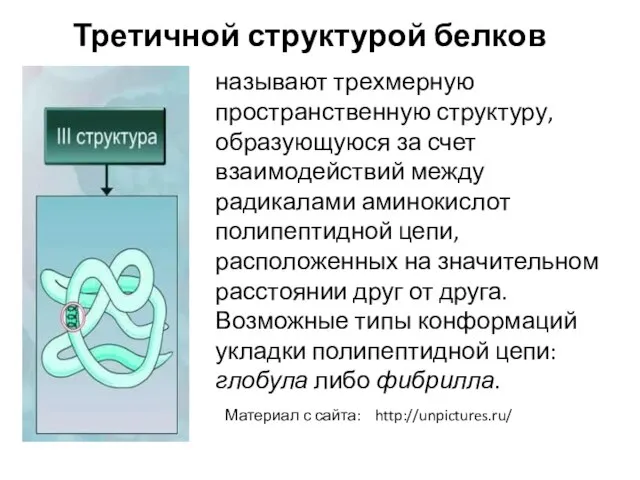 называют трехмерную пространственную структуру, образующуюся за счет взаимодействий между радикалами аминокислот полипептидной