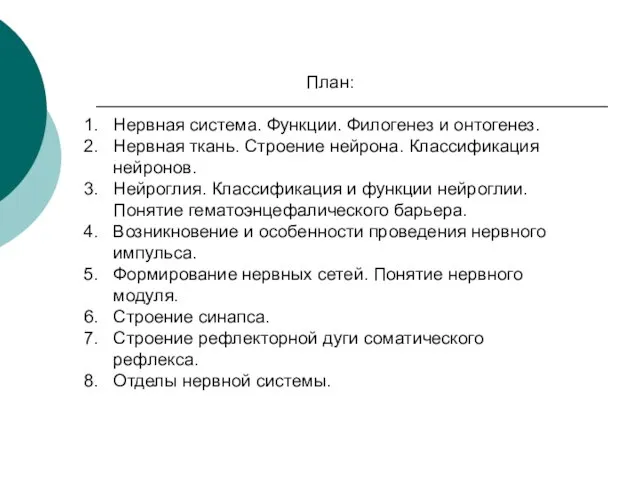 План: Нервная система. Функции. Филогенез и онтогенез. Нервная ткань. Строение нейрона. Классификация