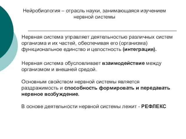 Нейробиология – отрасль науки, занимающаяся изучением нервной системы Нервная система управляет деятельностью