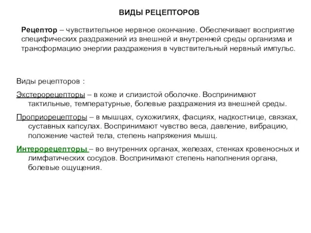 ВИДЫ РЕЦЕПТОРОВ Рецептор – чувствительное нервное окончание. Обеспечивает восприятие специфических раздражений из