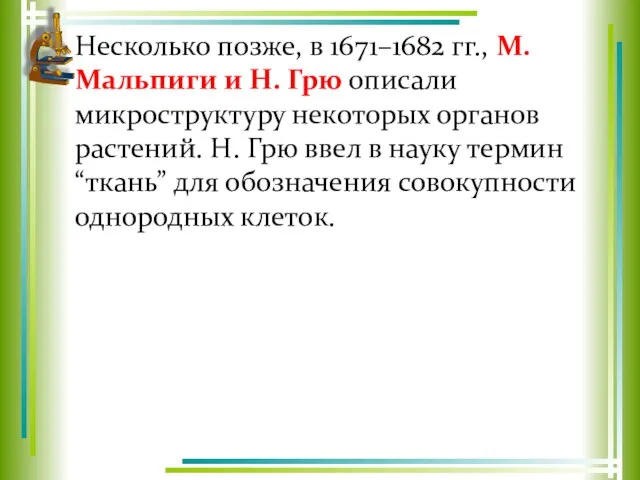 Несколько позже, в 1671–1682 гг., М. Мальпиги и Н. Грю описали микроструктуру