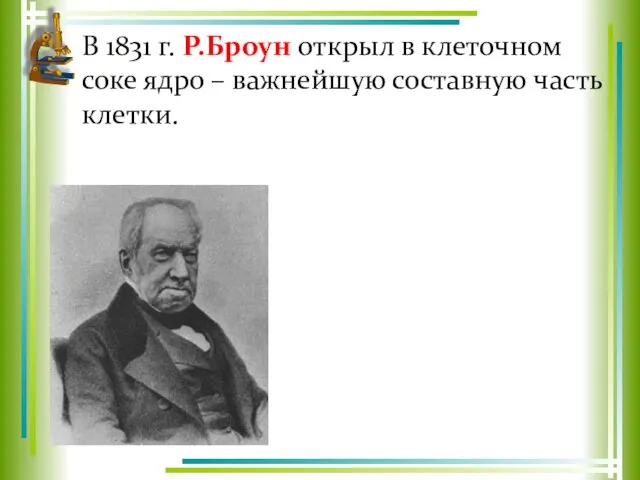 В 1831 г. Р.Броун открыл в клеточном соке ядро – важнейшую составную часть клетки.