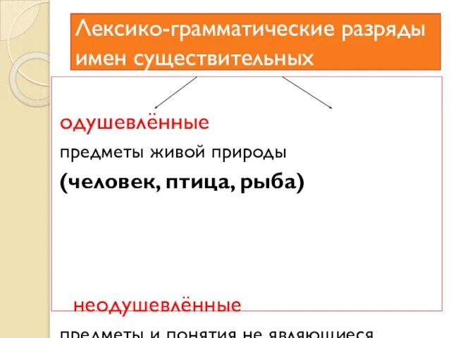 Лексико-грамматические разряды имен существительных одушевлённые предметы живой природы (человек, птица, рыба) неодушевлённые