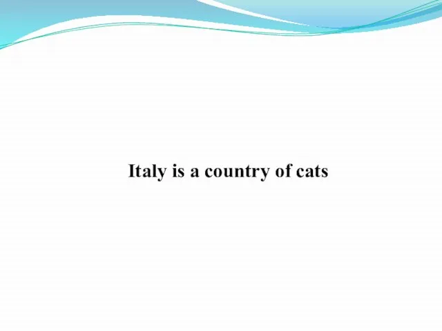 Italy is a country of cats